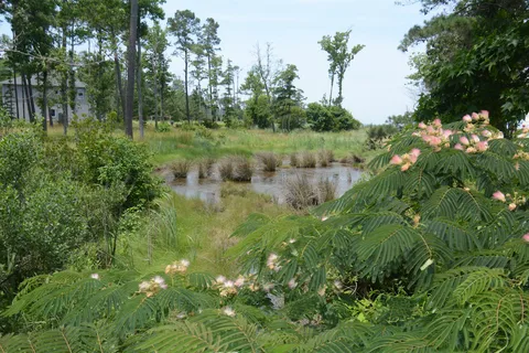Sun Retreats Gwynn's Island