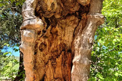El Cerro - Villanueva State Park