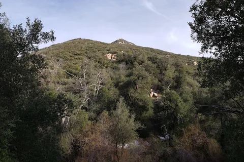 Oakzanita Springs RV Campground