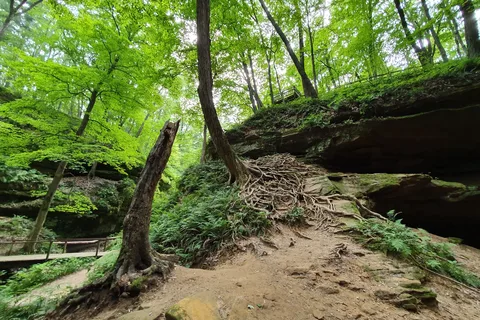 Wildcat Den State Park