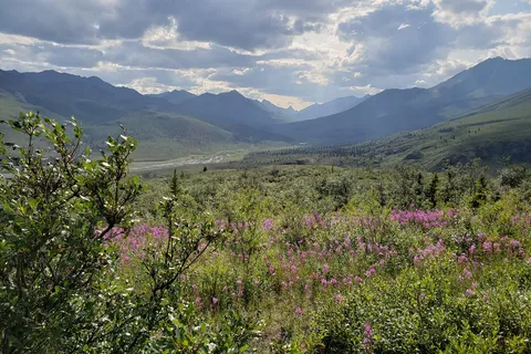 Tombstone Mountain Campground - Tombstone Territorial Park