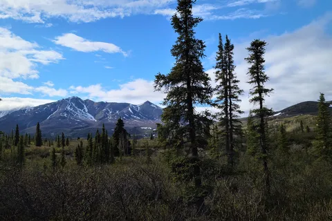 Tombstone Mountain Campground - Tombstone Territorial Park