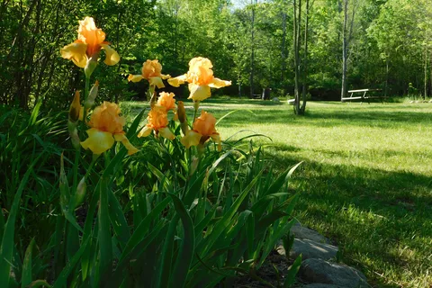 Cherry Hill Campground