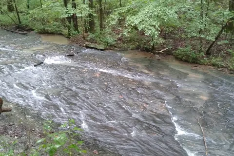 Meriwether Lewis Campground - Natchez Trace Parkway