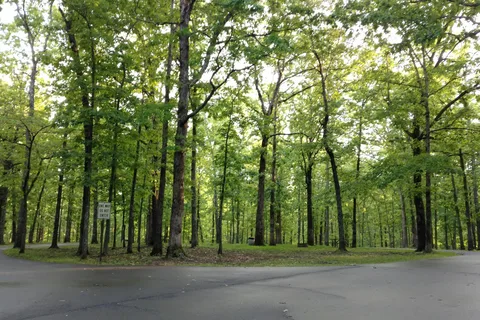 Meriwether Lewis Campground - Natchez Trace Parkway