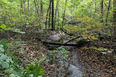 Sakatah Lake State Park