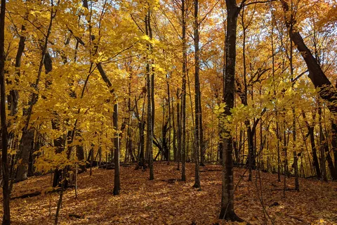 Sakatah Lake State Park