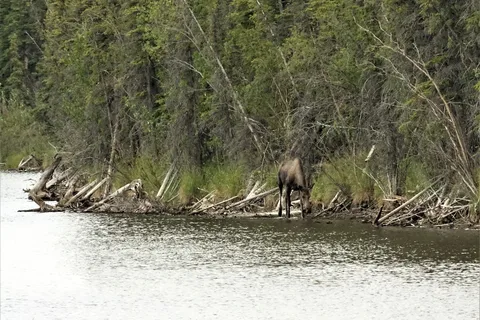 Moon Lake State Recreation Site