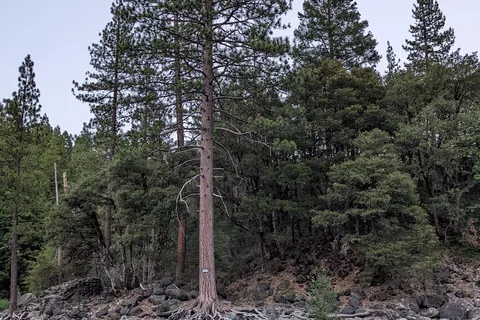 Sierra Skies RV Park