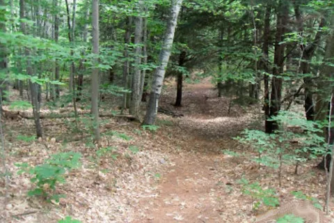 Harbor Hill Camping Area