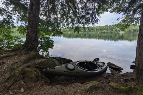 Terrace Pines Camping Area