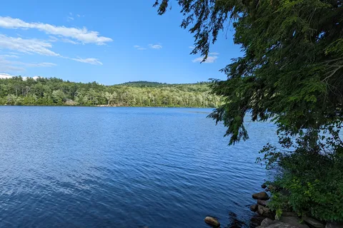 Terrace Pines Camping Area