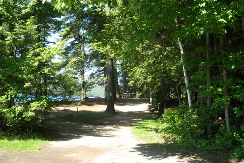 Terrace Pines Camping Area