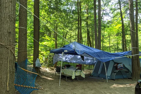 Terrace Pines Camping Area