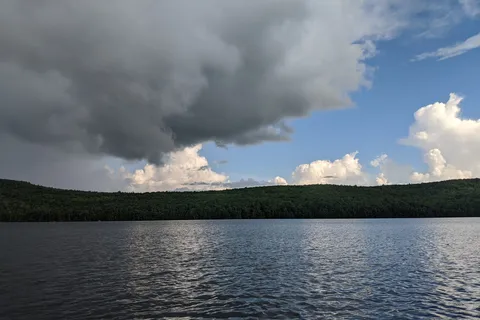 Terrace Pines Camping Area