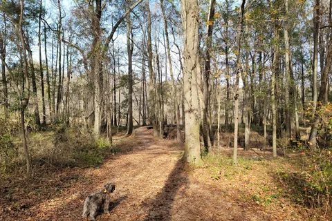 Colleton State Park