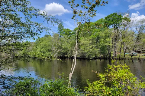 Colleton State Park