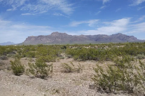 Mesa / Apache Junction KOA Journey