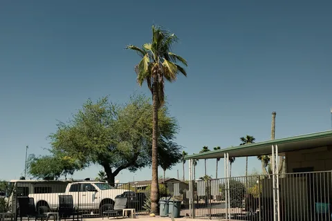 Mesa / Apache Junction KOA Journey