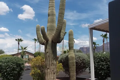 Mesa / Apache Junction KOA Journey
