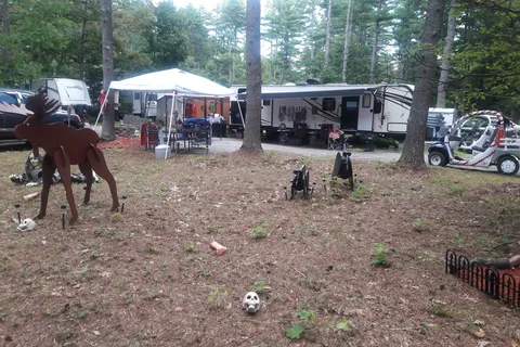 Salmon Falls River Camping Resort