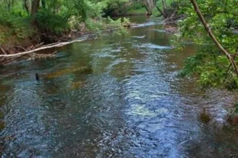 Salmon Falls River Camping Resort