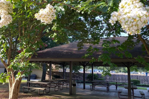 Birmingham South RV Park