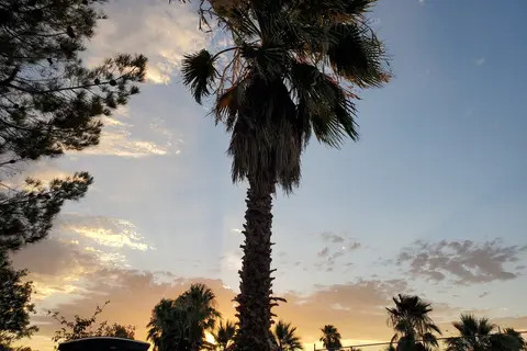 Twentynine Palms Resort: RV Park Cottages Golf