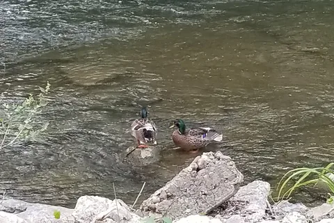 Creekside Campground