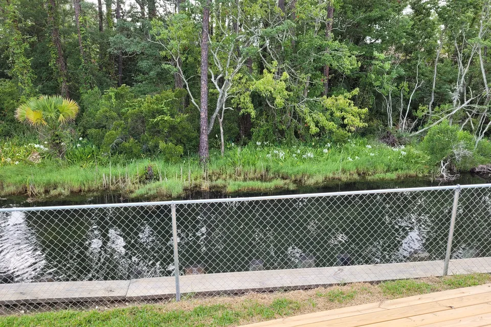 Family Creekside RV Cottage-15 Min from Beach