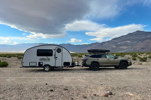 Nomad Snail (Safari Condo Alto 1743)