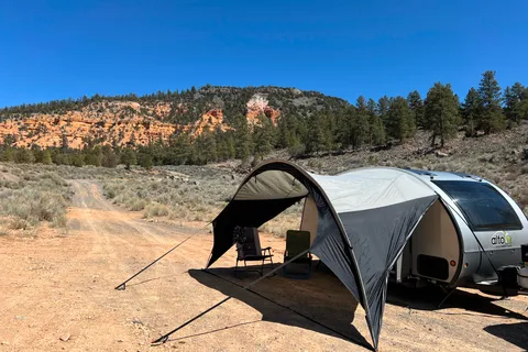 Nomad Snail (Safari Condo Alto 1743)