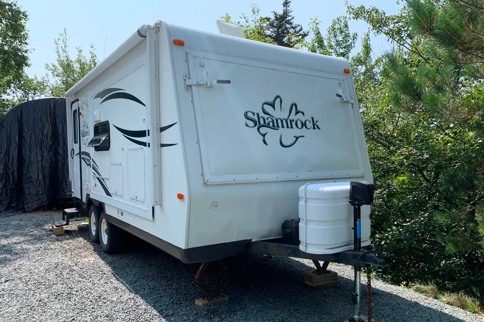 Wild Shamrock Adventurer