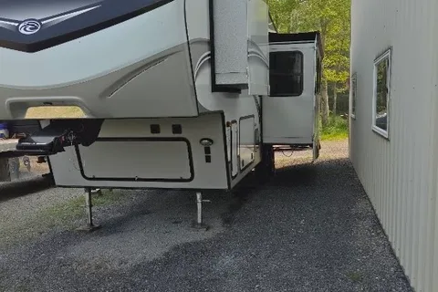 cougar