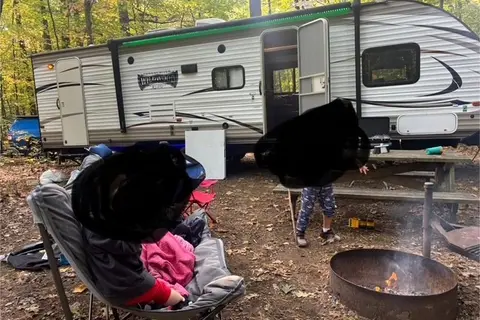Forest River XLITE 2018