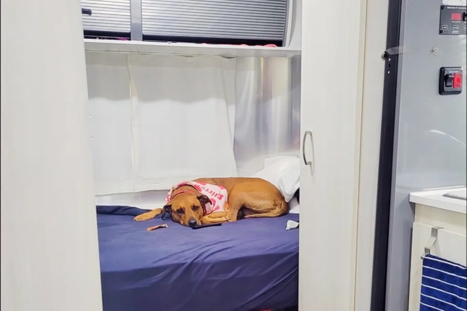Squirrel-V 2020 Airstream Bambi DOG FRIENDLY Barbies dream camper free SPACEX internet
