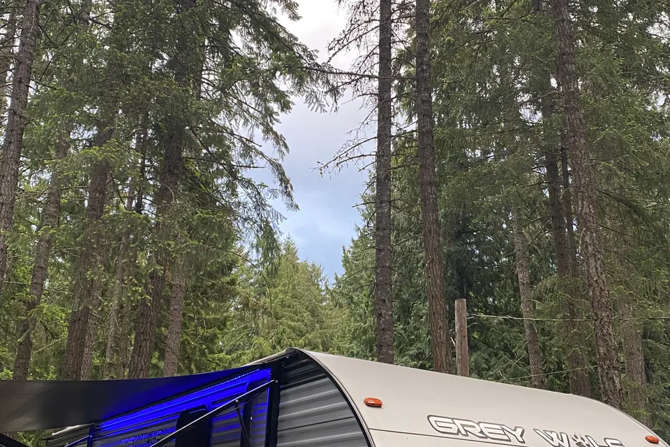 Aimee's Forest River Grey wolf Travel Trailer