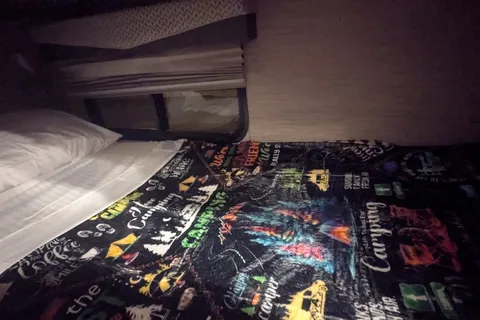Travel Bear
