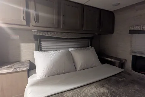 Travel Bear