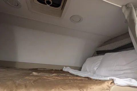 Travel Bear