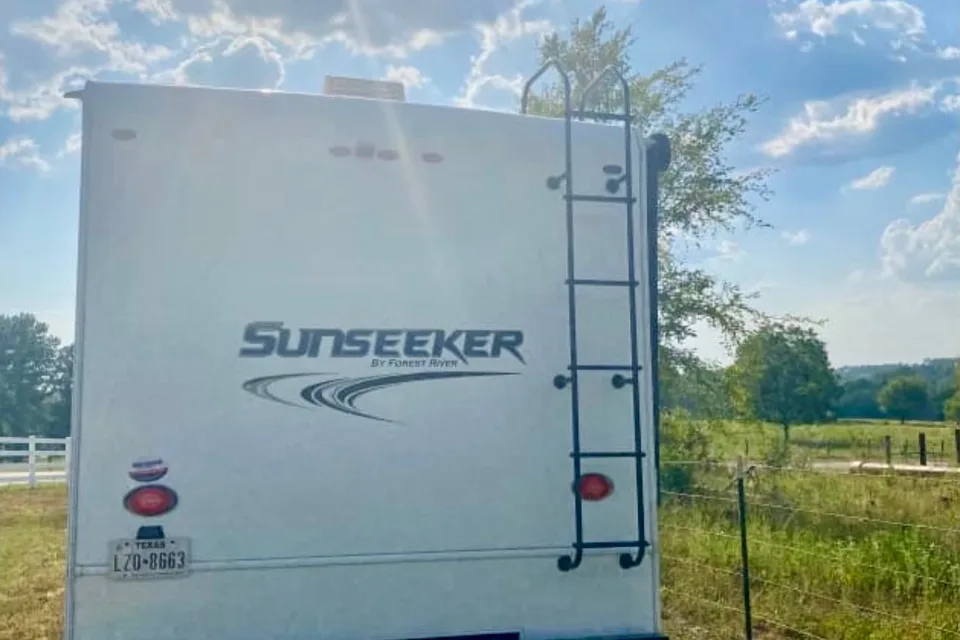 Darling Forest River Sunseeker 2420MS Ford Class C