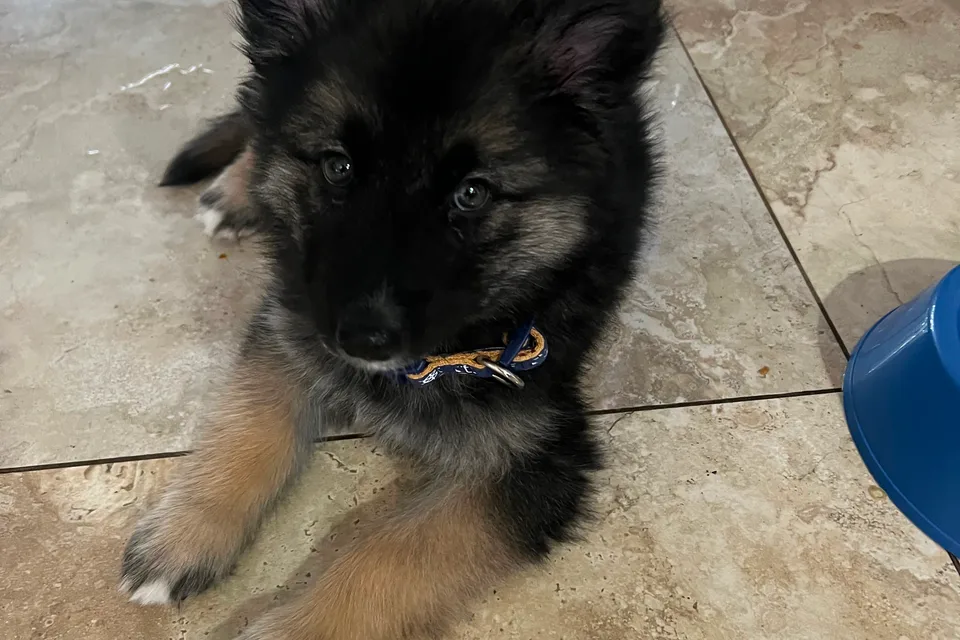 Yasmin & Mike’s 2019 Thor Majestic*