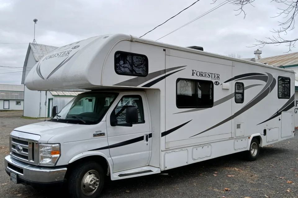 Le bohème Forester 3251DS