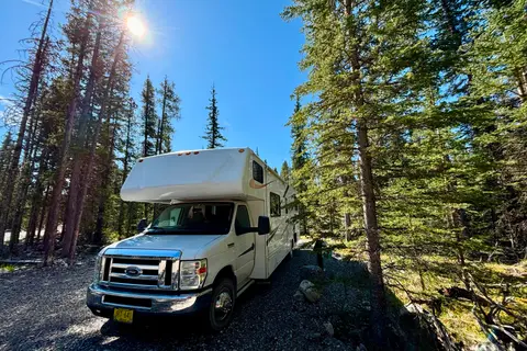 Forest River Sunseeker