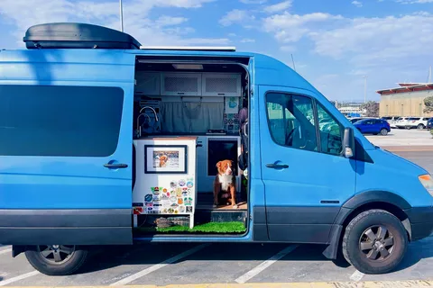 Murph the Smurf: PET FRIENDLY - Mercedes Sprinter Conversion