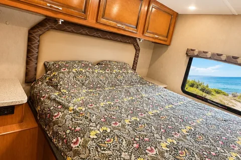 2018 Fleetwood Jamboree 30F with DL class C