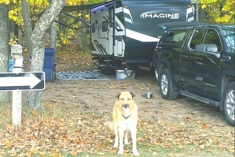 Chevy