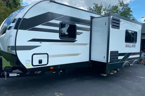 Danielle's Mallard 🦆