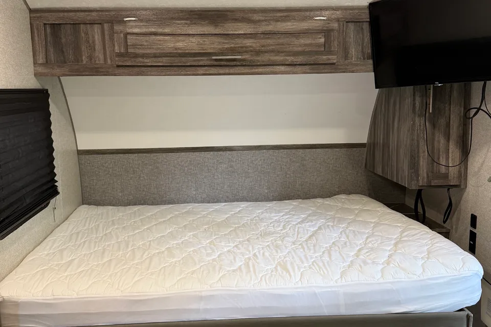 Ultra Cozy Forest River Wildwood (Studio Edition)