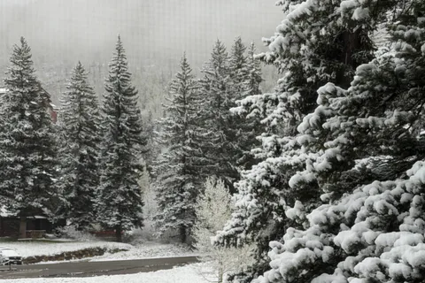 Wagon Trails RV Rental